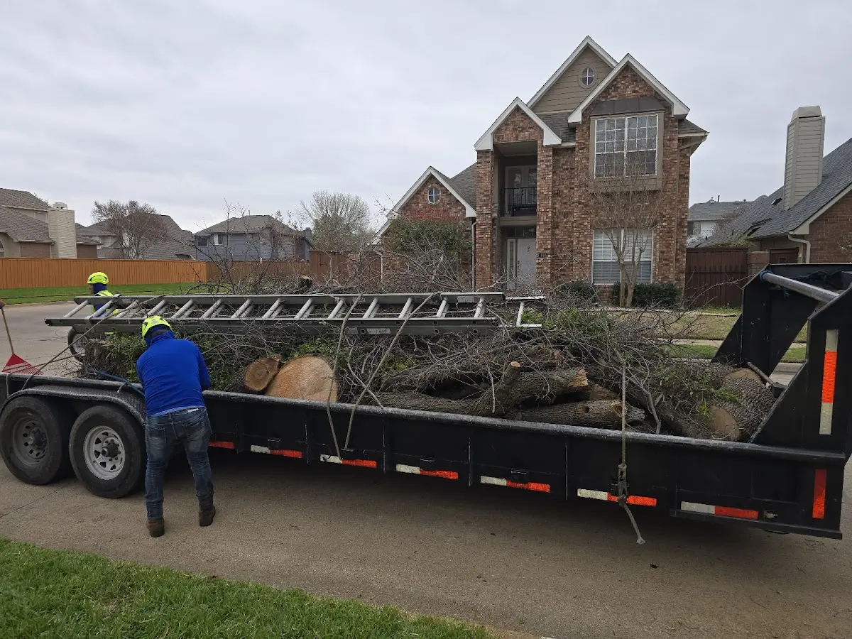 Expert Tree Pest Control with proper safety equipment in Niantic